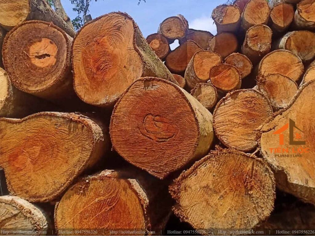 7 Lợi Ích Của Việc Sử Dụng Nội Thất Gỗ Xoan Đào 11 nội thất gỗ xoan đào