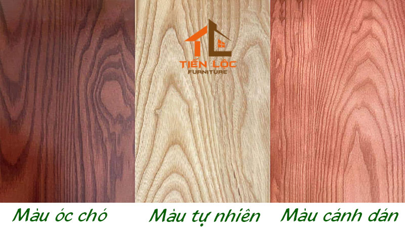 màu sắc gỗ sồi